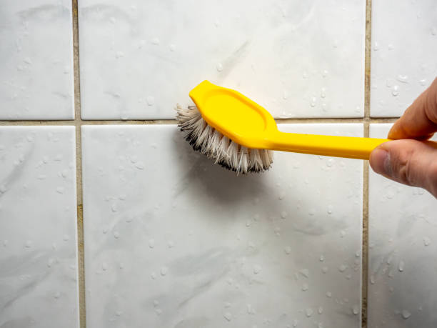 Best Black Mold Removal  in Monte Vista, CO